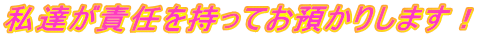 BӔCĂa肵܂I